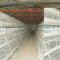 chicken farming materials house design cages for broiler chicken 3