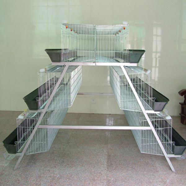 automatic equipment egg laying chicken cages 5