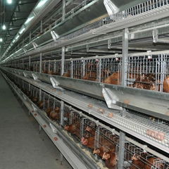 cheap price made in china 3 tier 120 capacity chicken layer egg chicken cage for