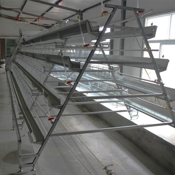 uganda poultry farm chicken cages for broilers 4
