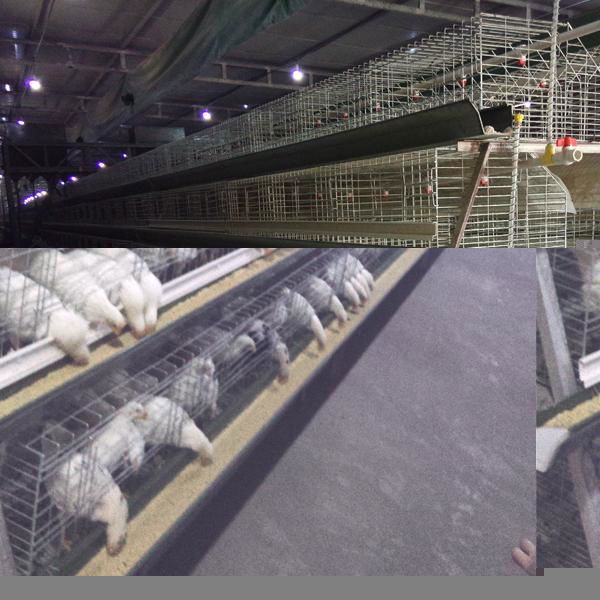 galvanized iron wire material chicken laying cage