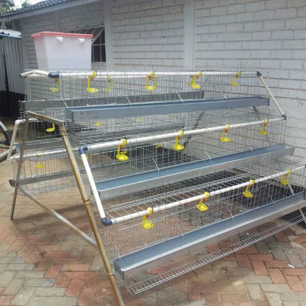 agriculture farming breeder equipement broiler chicken raising cage  2