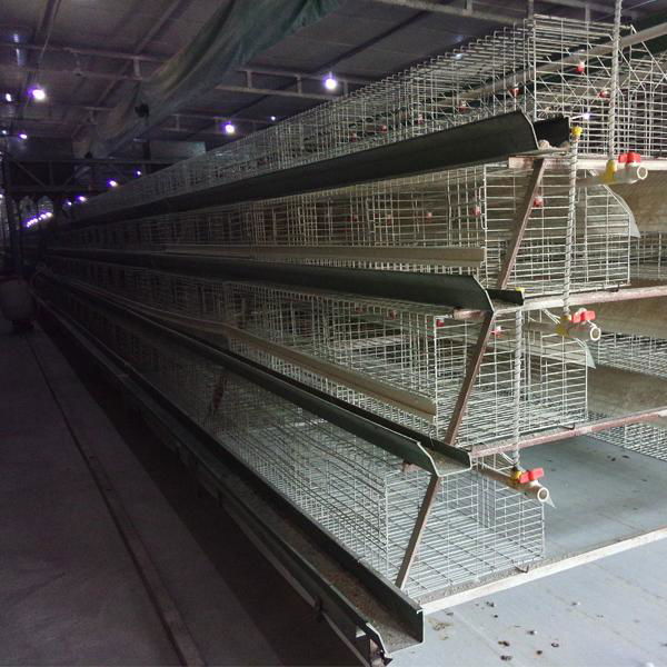 galvanized iron wire material chicken laying cage 5