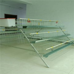 commercial plastic poultry used chicken cage for sale