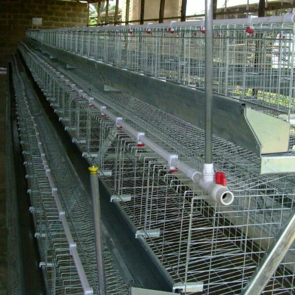 commercial plastic poultry used chicken cage for sale 4