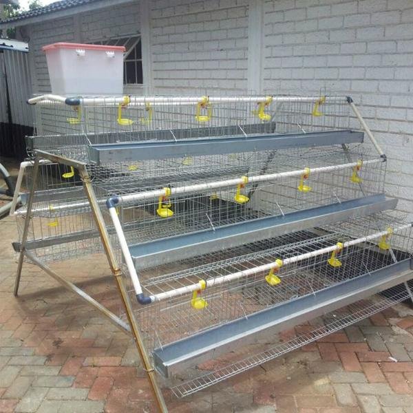 commercial plastic poultry used chicken cage for sale 5