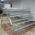 poultry farm house chicken cage for kenya 5