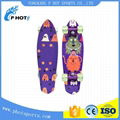 CE approved cheap skateboard made in