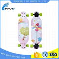 mini longboard custom design skateboard from China 3