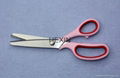 pinking scissors 2