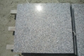  China Granite 3
