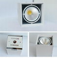 LED Venture lighting led 2 head down light lamp  3