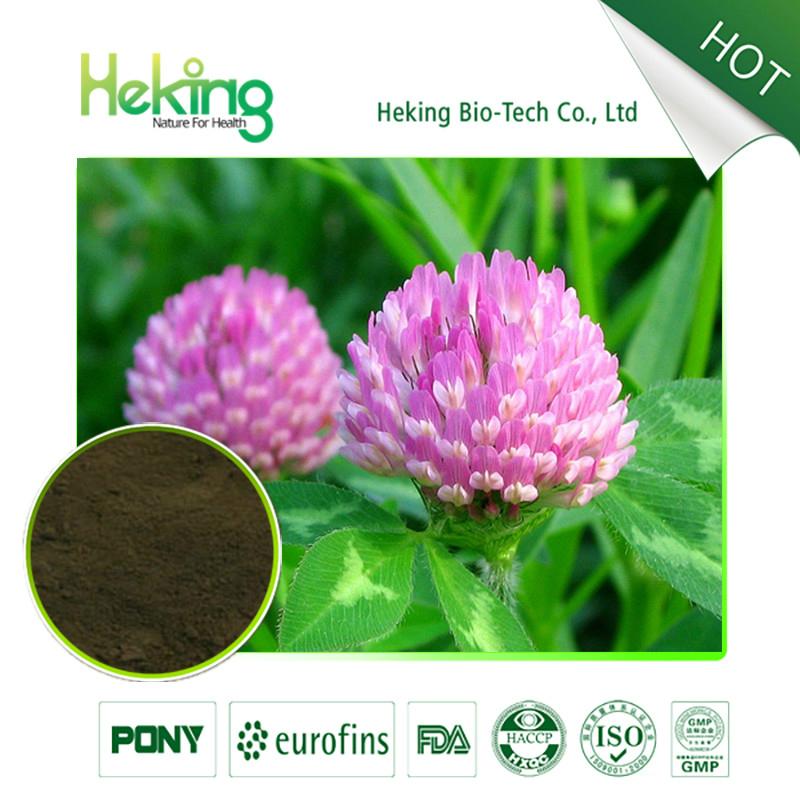 Red Clover Extract