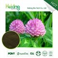 Red Clover Extract 1
