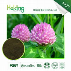 Red Clover Extract