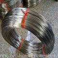 0.0787402''  Factory Price Stainless Steel Wire 