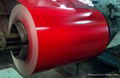 Prepainted aluzinc steel coils PPGL PPGI 3