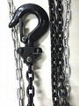 Mini lift equipment 2500 supplier pulley chain block hoist for tippers 4