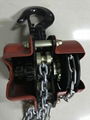 Mini lift equipment 2500 supplier pulley chain block hoist for tippers 3