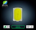 High quality SMD 3020 LED chip 0.06w