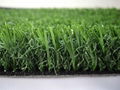 Garden artificial grass