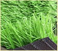 Soccer artificial grass 2