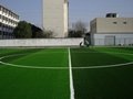 Soccer artificial grass 4