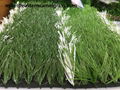 Tencate football artificial grass 1