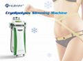 2017 Beautiful Design High Quality Cryolipolysis Slimming Machines with 5 Handle 1