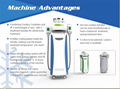 2017 Beautiful Design High Quality Cryolipolysis Slimming Machines with 5 Handle 3