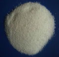 Polyacrylamide 1