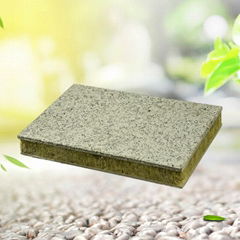 Expanded polystyrene sandwich panel