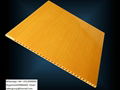 PVC CELUKA foam board 4