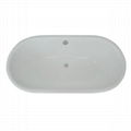 Pedestal Cast Iron Bathtub 2