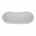    Selling Well  Cast Iron Clawfoot Bathtub 2