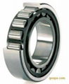 Deep groove ball bearing 1