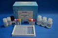 REAGEN™ Oxytetracycline ELISA Kit