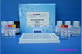 Aflatoxin B1 ELISA Test Kit 1