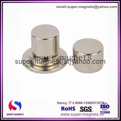 Permanent  Sintered Neodymium Round Disc