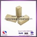offer High temperature 350℃ Smco block magnets 4
