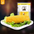 Vacuum Packed Sweet Corn Cobs Non-GMO 1