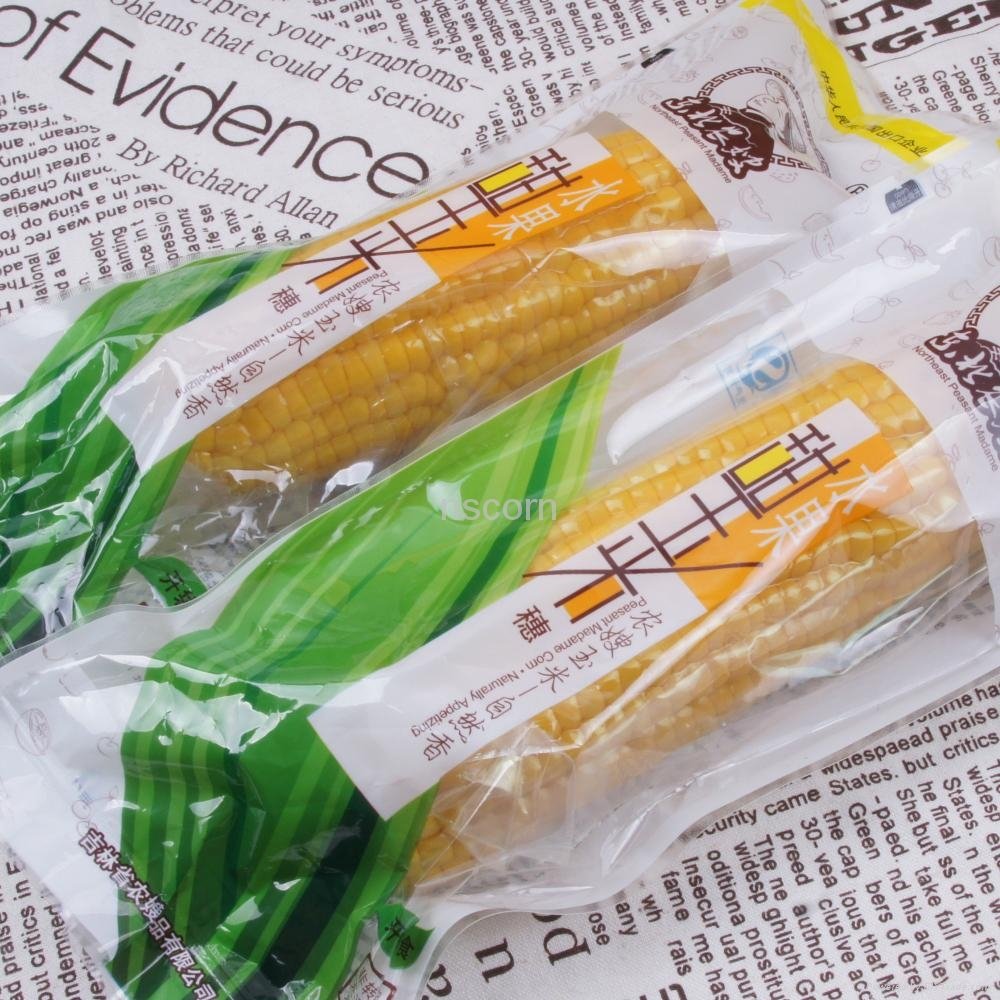 Vacuum Packed Sweet Corn Cobs Non-GMO 5