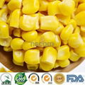 Vacuum packed sweet corn kernels 