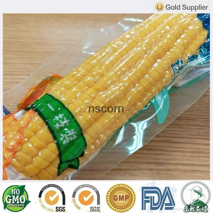 Non-gmo sweet corn on cobs in vacuum pack