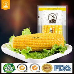 Vacuum packed fresh non gmo sweet corn cobs