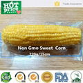 Wholesale sweet corn in vacuum