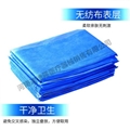 Disposable Bed Sheet