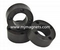 Plastic injection bonded magnet for