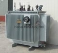 S9 Series 3 Phase Oil Immersed Power Distribution Transformer 3