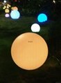 Battery Power Multicolor Waterproof LED Ball Globe 5